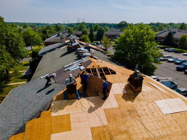 Trusted Roof Replacement service in Lucerne, CA - Brentwood Metal Roofing